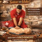 whatsapp image 2026 01 24 at 16.52.50